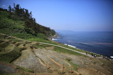 EO0A6459.JPG