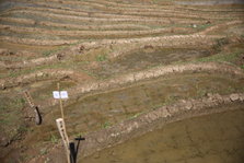 EO0A6460.JPG