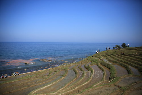 EO0A6463.JPG