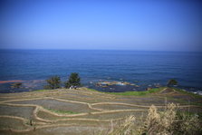 EO0A6478.JPG