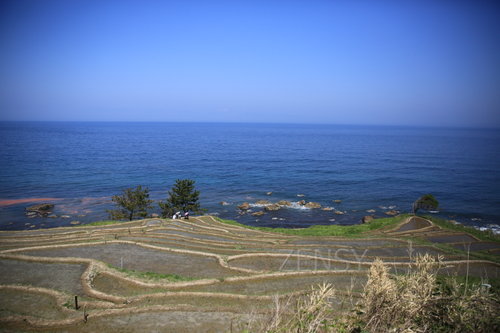 EO0A6478.JPG