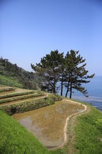 EO0A6483.JPG