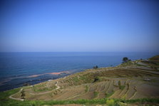 EO0A6491.JPG