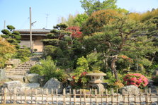 EO0A4565.JPG