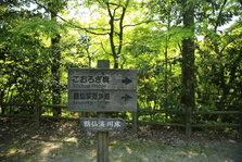 EO0A4493.JPG