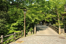 EO0A4507.JPG