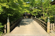 EO0A4508.JPG