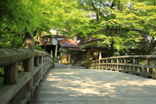 EO0A4525.JPG
