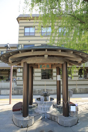 EO0A4552.JPG