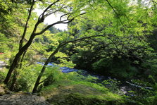 EO0A4469.JPG