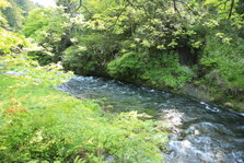 EO0A4490.JPG
