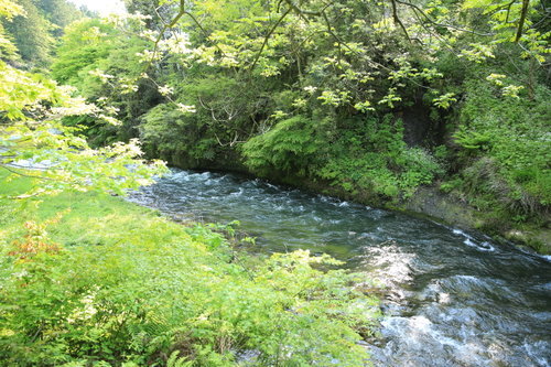 EO0A4490.JPG