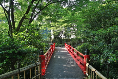 EO0A7824.JPG
