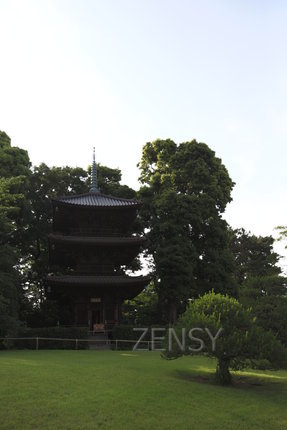 EO0A7835.JPG