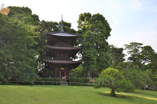 EO0A7837.JPG