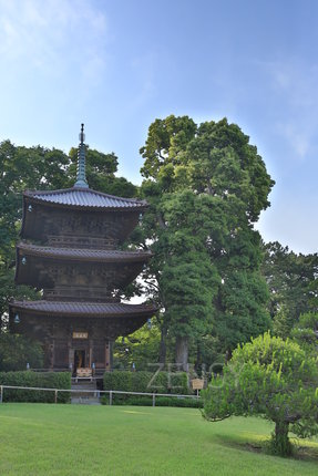 EO0A7838.JPG