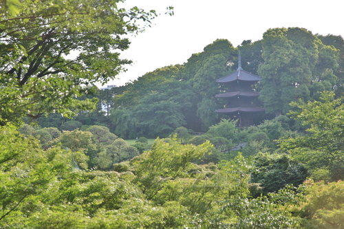 EO0A7858.JPG