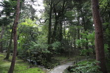 EO0A4911.JPG