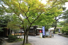 EO0A4914.JPG