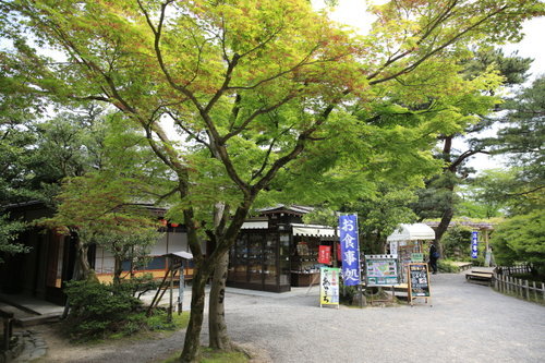EO0A4914.JPG