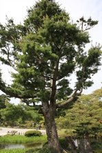 EO0A4926.JPG