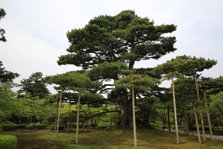 EO0A4937.JPG