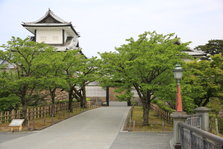 EO0A4866.JPG