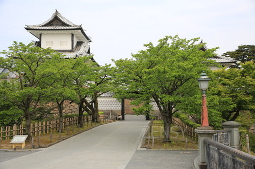 EO0A4866.JPG