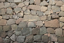 EO0A4869.JPG