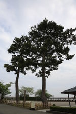 EO0A4873.JPG