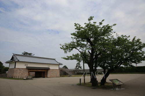 EO0A4874.JPG