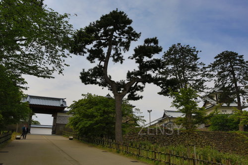 EO0A4883.JPG