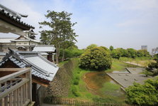 EO0A4890.JPG