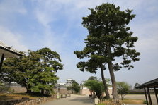 EO0A4891.JPG
