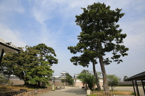 EO0A4891.JPG