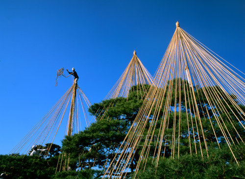 054[1].jpg