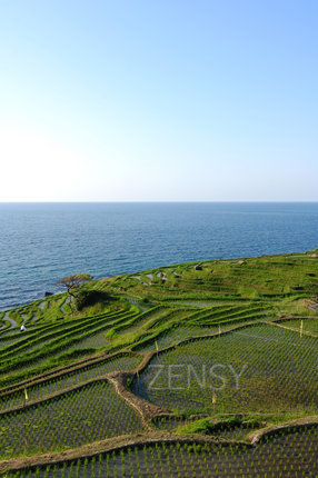 no_0097_zz.jpg