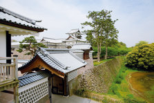 EO0A4889_1.jpg
