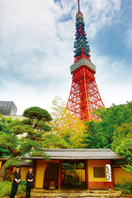 EO0A6844-11.jpg