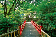 EO0A7824.jpg