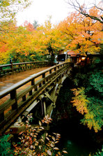kg_0028_zz.jpg