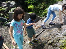 20130630_092713.jpg