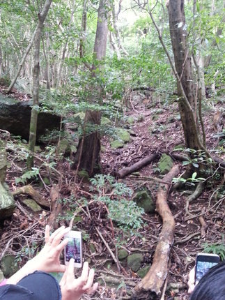 20130630_151126.jpg