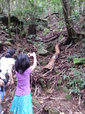 20130630_151201.jpg