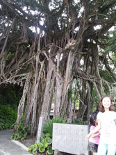 20130630_165023.jpg
