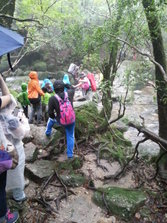 20130701_101748.jpg