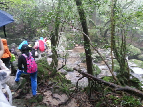 20130701_101755.jpg