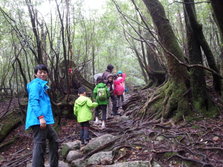 20130701_102530.jpg