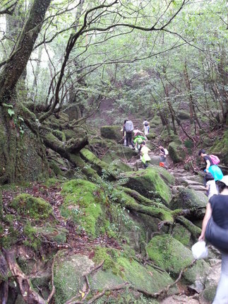 20130701_115320.jpg