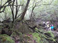 20130701_115326.jpg